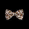 Clearance Dan and Sam Dan & Sam - Dog Bowtie (Wild One)
