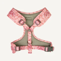Sale Dan and Sam Dan & Sam - Dog Harness (Candy Cane Kisses) - X-Small