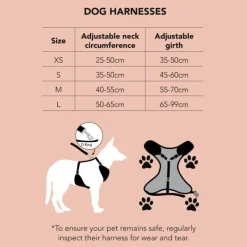 Clearance Dan and Sam Dan & Sam - Dog Harness (Dinosaur Land) - Large