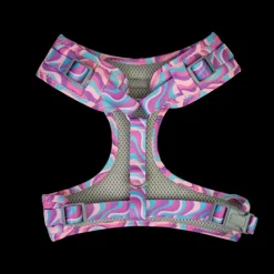 Sale Dan and Sam Dan & Sam - Dog Harness (Disco Party) - X-Small