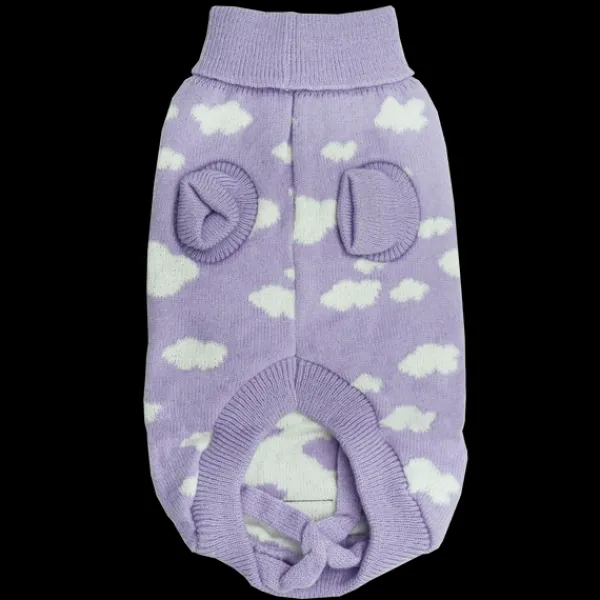 Best Dan and Sam Dan & Sam - Dog Jumper (Dreamer) - 40cm