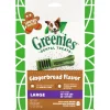 Fashion Greenies - Gingerbread Large Dog Treat (340g)