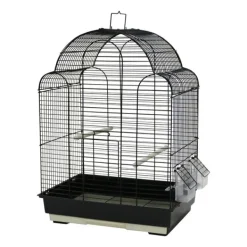 Outlet Paradise - Scallop Top Bird Cage