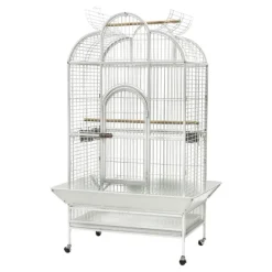 Discount Paradise - Scallop Top Large Aviary
