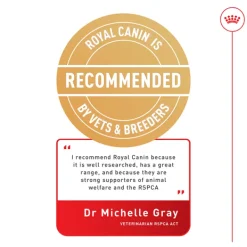 Hot Royal Canin - Wet Royal Canin - Hair & Skin Care Care Jelly Adult Cat Wet Food (85g x 12pk)