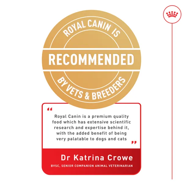 Discount Royal Canin - Dry Royal Canin - Jack Russell Terrier Breed Adult Dog Dry Food (3kg)