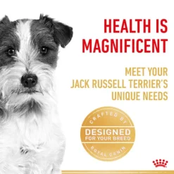 Discount Royal Canin - Dry Royal Canin - Jack Russell Terrier Breed Adult Dog Dry Food (3kg)