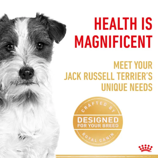Discount Royal Canin - Dry Royal Canin - Jack Russell Terrier Breed Adult Dog Dry Food (3kg)