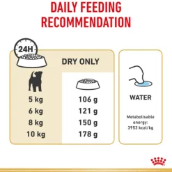 Discount Royal Canin - Dry Royal Canin - Jack Russell Terrier Breed Adult Dog Dry Food (3kg)