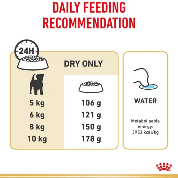 Discount Royal Canin - Dry Royal Canin - Jack Russell Terrier Breed Adult Dog Dry Food (3kg)