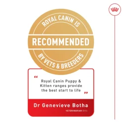 Best Royal Canin - Wet Royal Canin - Kitten in Loaf Cat Wet Food (85g x 12pk)