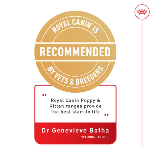Sale Royal Canin - Wet Royal Canin - Medium Puppy Dog Wet Food (140g x 10pk)