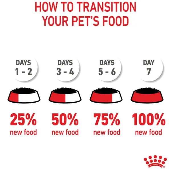 Sale Royal Canin - Wet Royal Canin - Medium Puppy Dog Wet Food (140g x 10pk)