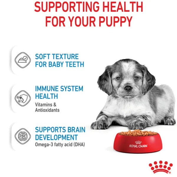 Sale Royal Canin - Wet Royal Canin - Medium Puppy Dog Wet Food (140g x 10pk)