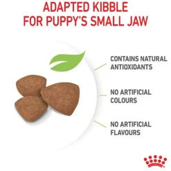Outlet Royal Canin - Dry Royal Canin - Mini Puppy Dog Dry Food (4kg)
