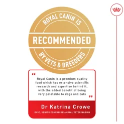 Sale Royal Canin - Dry Royal Canin - Miniature Schnauzer Breed Adult Dog Dry Food (3kg)