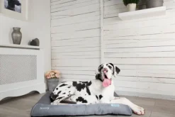 Discount Scruffs - Cool Bed (100 x 75cm)