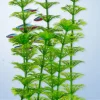 Online Tetra - Ambulia DecoArt Plant (Medium)